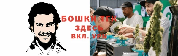 прущая мука Верея